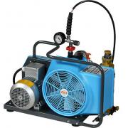 霍尼韦尔（巴固）BC163099B 电动呼吸器充气泵