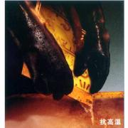 ˼(Ansell) Thermaprene19-024/026͸