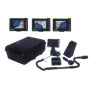 ��Ƶ����̽����