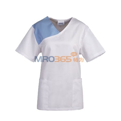 ��ŵ 09SS010 ������