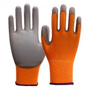 �����Ʋ�Ϳ�㶡�������������