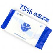 ���� HD-EPM003 ��75%�ƾ�ʪ��15cm*20cm��40��/����