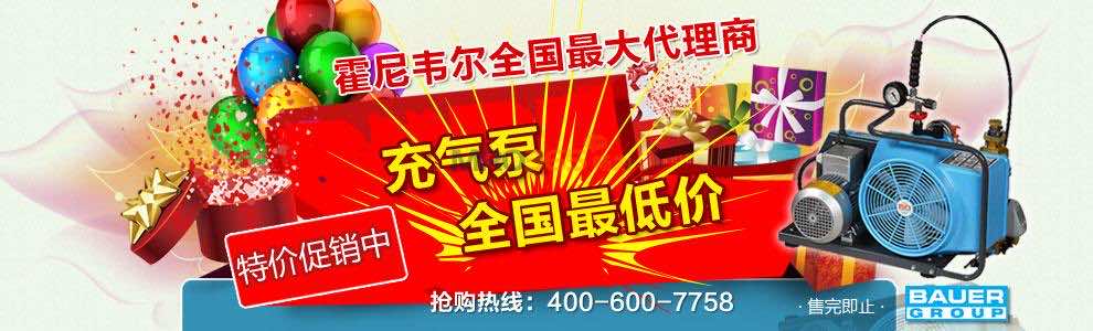空气呼吸器充气泵全国**