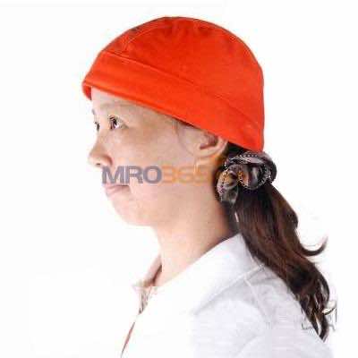 ����AP-6710�Ⱥ�ɫ��ȼ����ñ