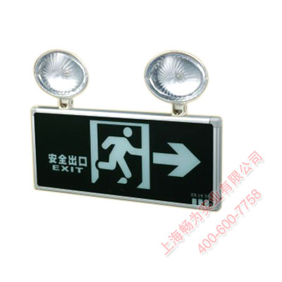 消防应急照明标志灯MBZZ
