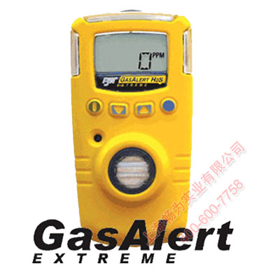 BW便携式氢气检测仪