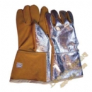 ������ȼ����