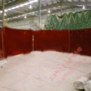 ��ɫ���ӵ���